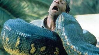 狂蟒之灾2高清在线播放