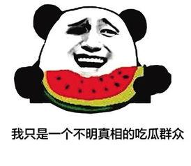网络用语吃瓜怎么说